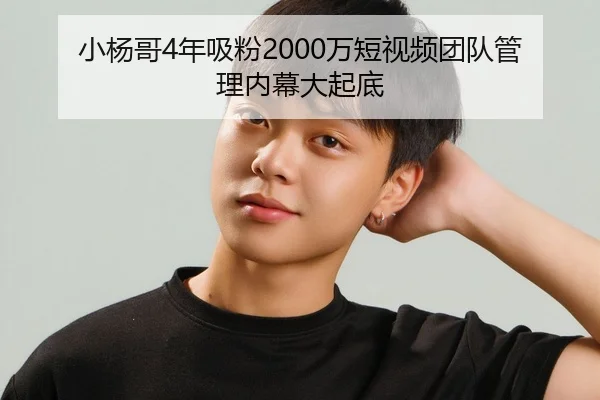 小杨哥4年吸粉2000万短视频团队管理内幕大起底